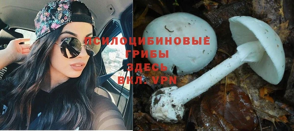 таблы Арсеньев