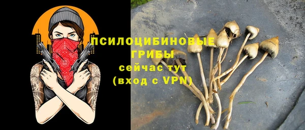 mix Армянск