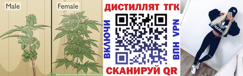 это Telegram  где купить   Строитель  ТГК Wax 