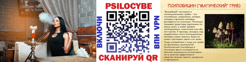 Галлюциногенные грибы Psilocybe  Строитель 